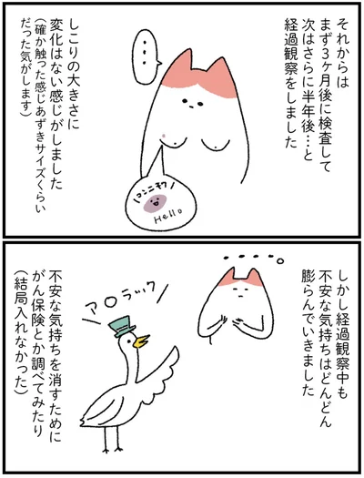 経過観察をしました