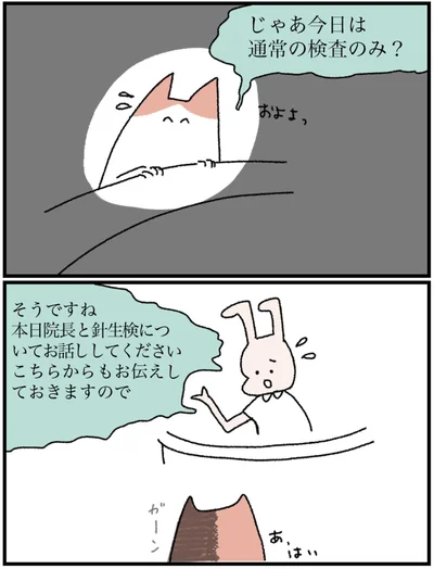 じゃあ今日は通常の検査のみ？