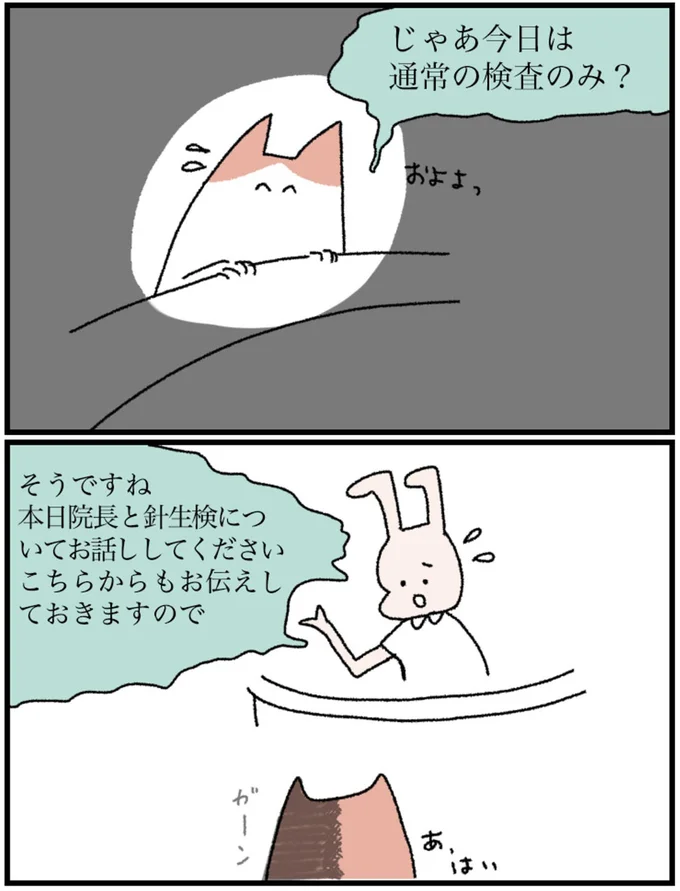 じゃあ今日は通常の検査のみ？