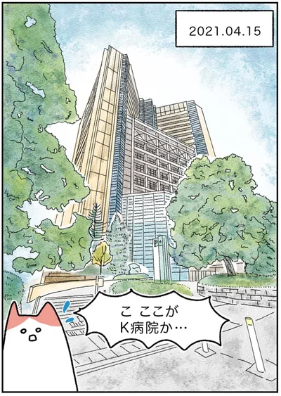 こ　ここがK病院か…