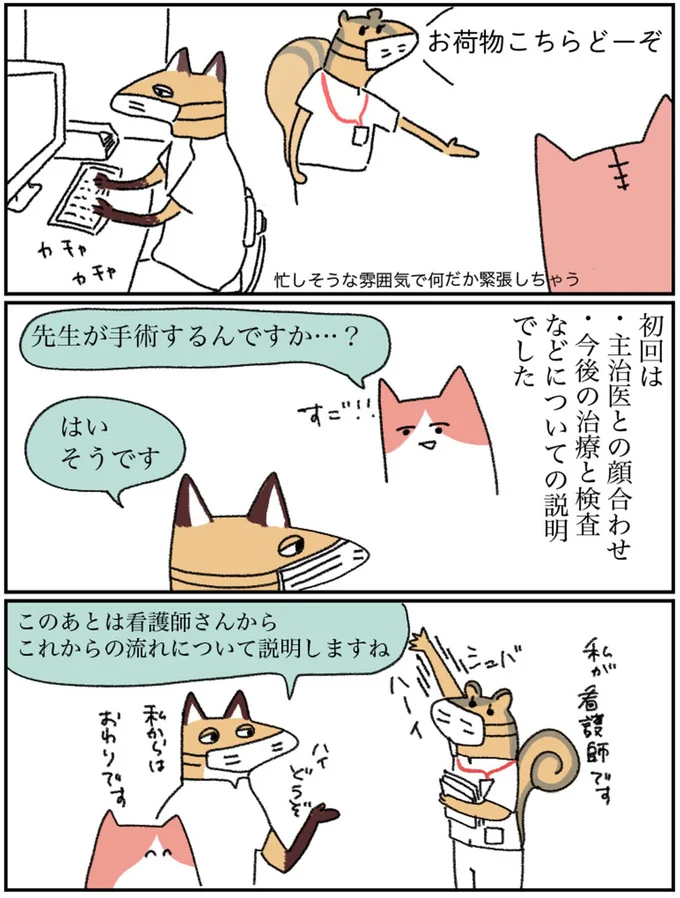 先生が手術するんですか…？