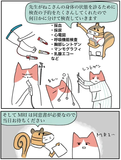 何日かに分けて検査していきます