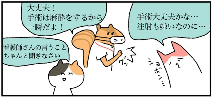 手術大丈夫かな…