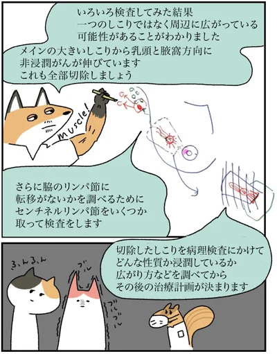 いろいろ検査してみた結果