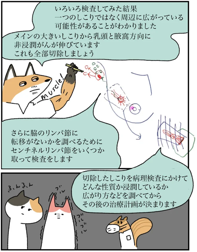 いろいろ検査してみた結果