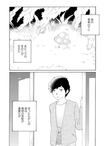庭の雪柳の下にまピンクのきのこが生えた