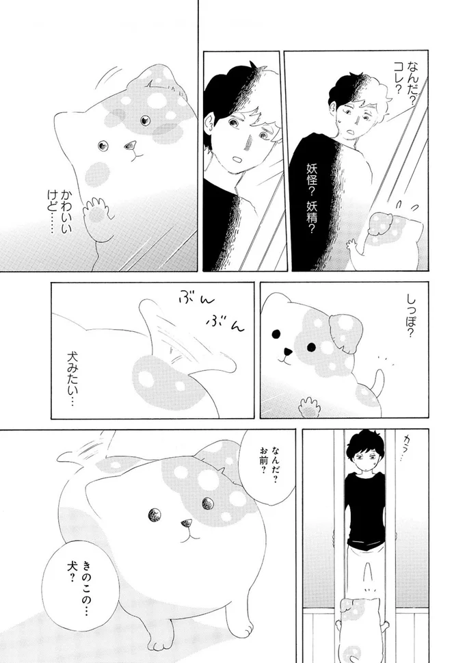 なんだ？お前？きのこの...