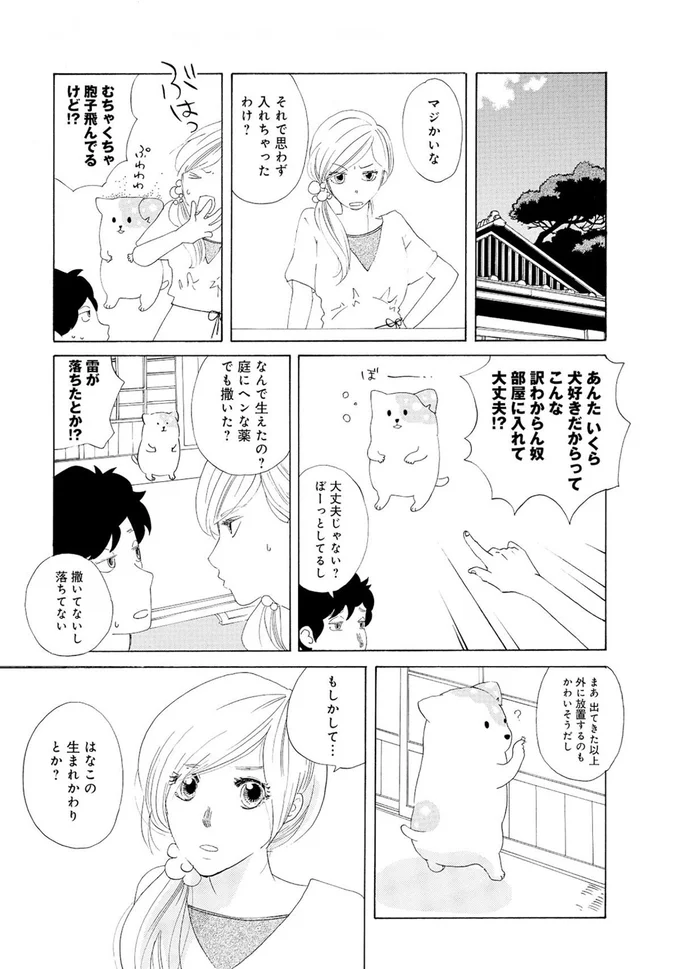 『きのこいぬ』より