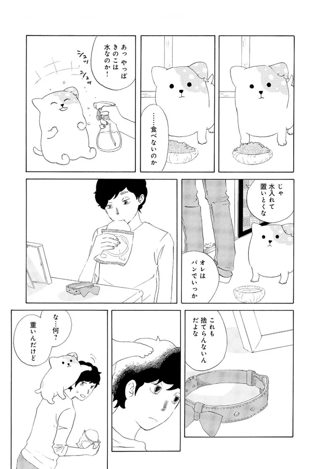 『きのこいぬ』より
