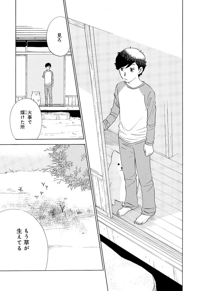 『きのこいぬ』より