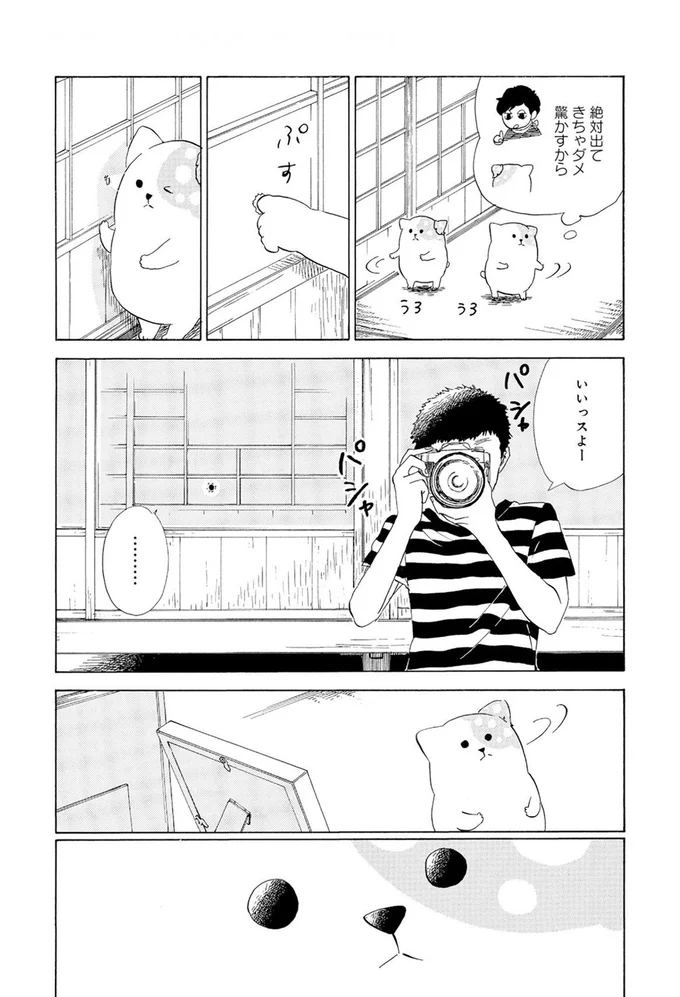 『きのこいぬ』より