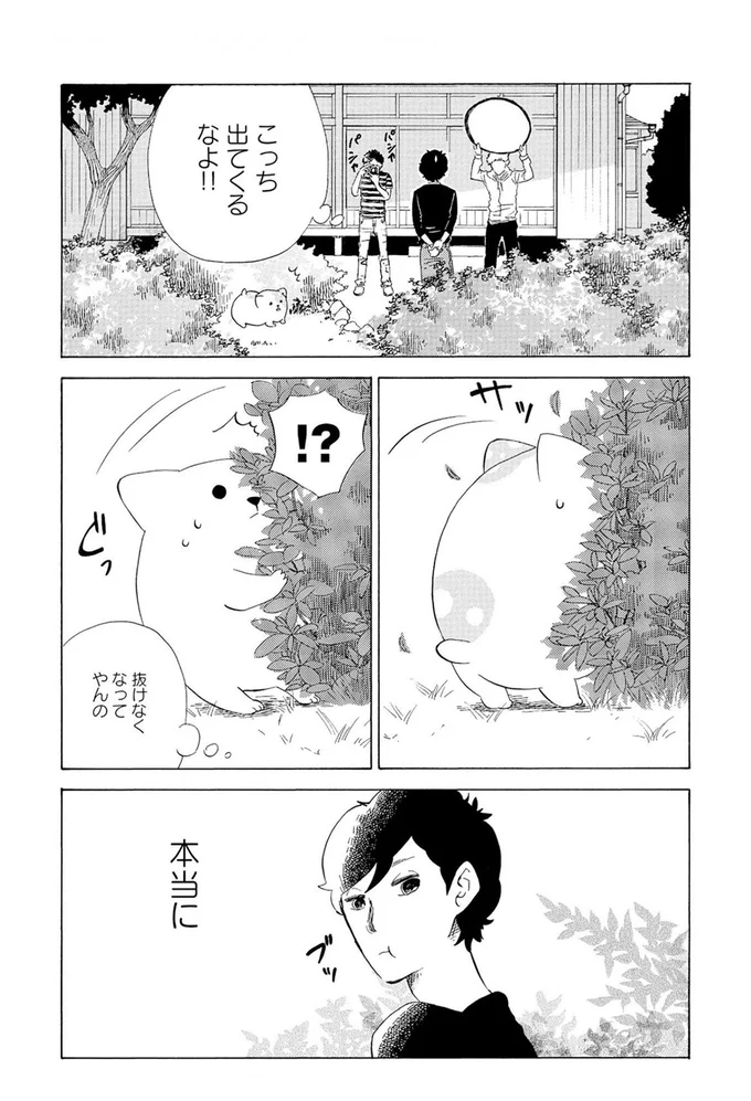 『きのこいぬ』より