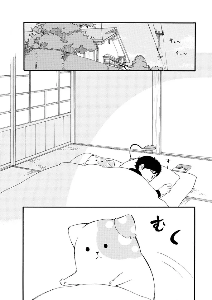『きのこいぬ』より