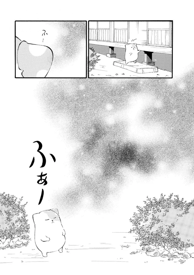 『きのこいぬ』より