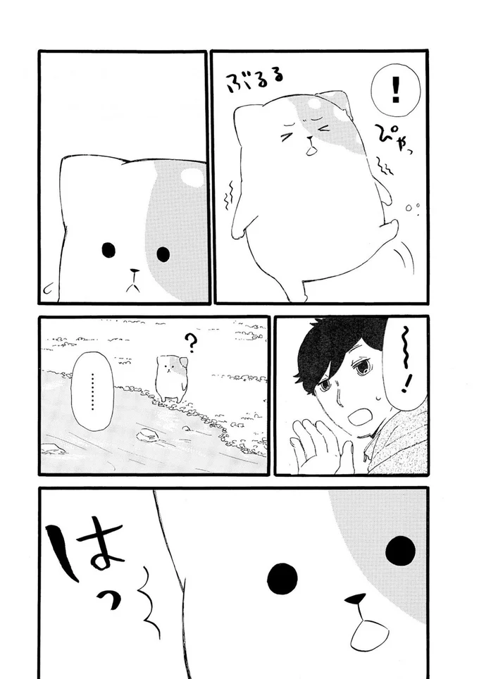 『きのこいぬ』より