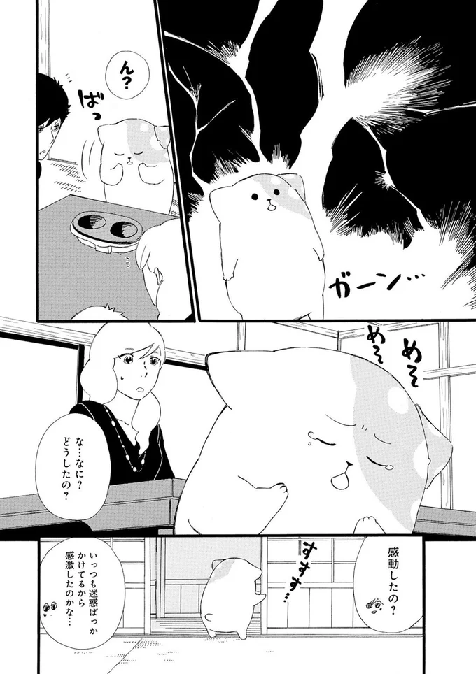 『きのこいぬ』より