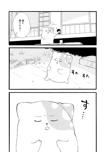 『きのこいぬ』より