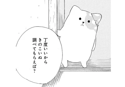 生態がよくわからないきのこいぬ。きのこ研究所で調べてもらう!?