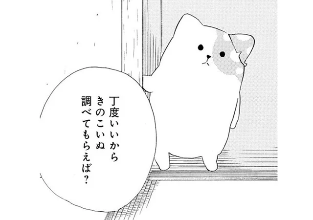 生態がよくわからないきのこいぬ。きのこ研究所で調べてもらう!?／きのこいぬ（3）