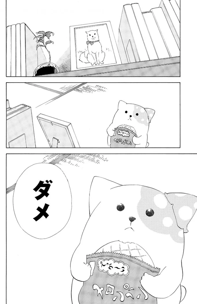 ダメ