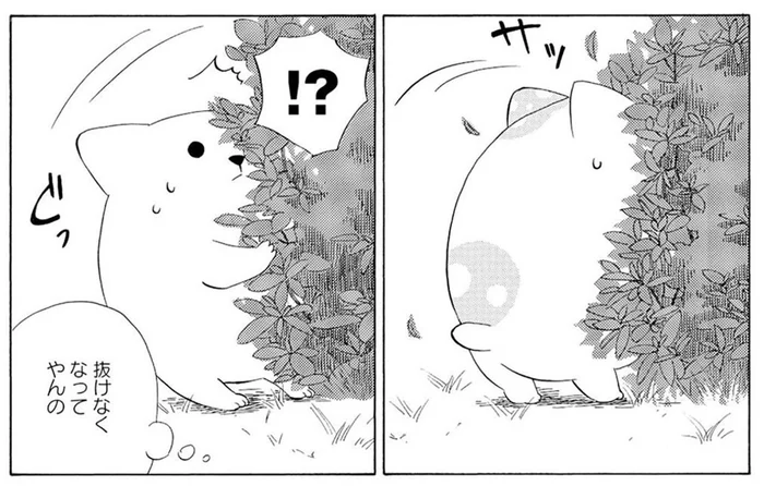 出てきちゃダメと注意したのに！ 撮影現場に現れたきのこいぬが大ピンチ／きのこいぬ（8）