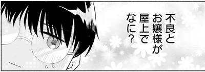 不良とお嬢様が屋上でなに？