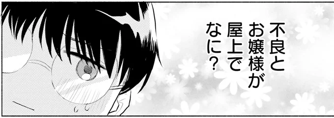不良とお嬢様が屋上でなに?