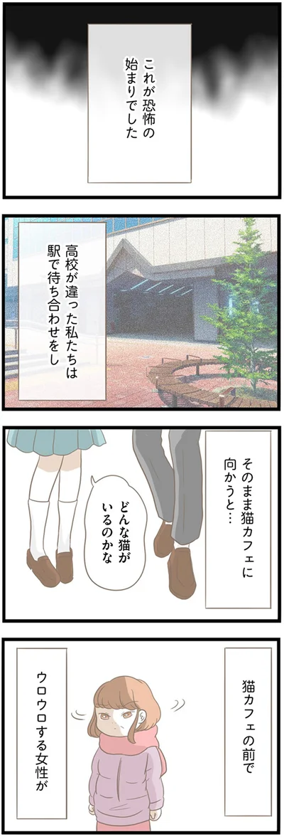 どんな猫がいるのかな