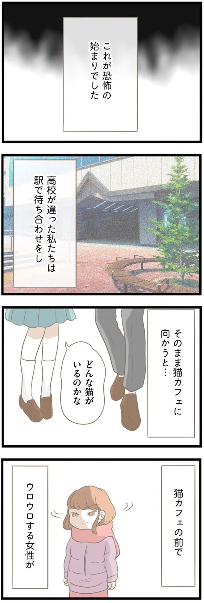 どんな猫がいるのかな