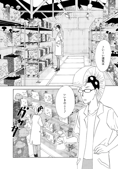いーい湿気はいいきのこー♪