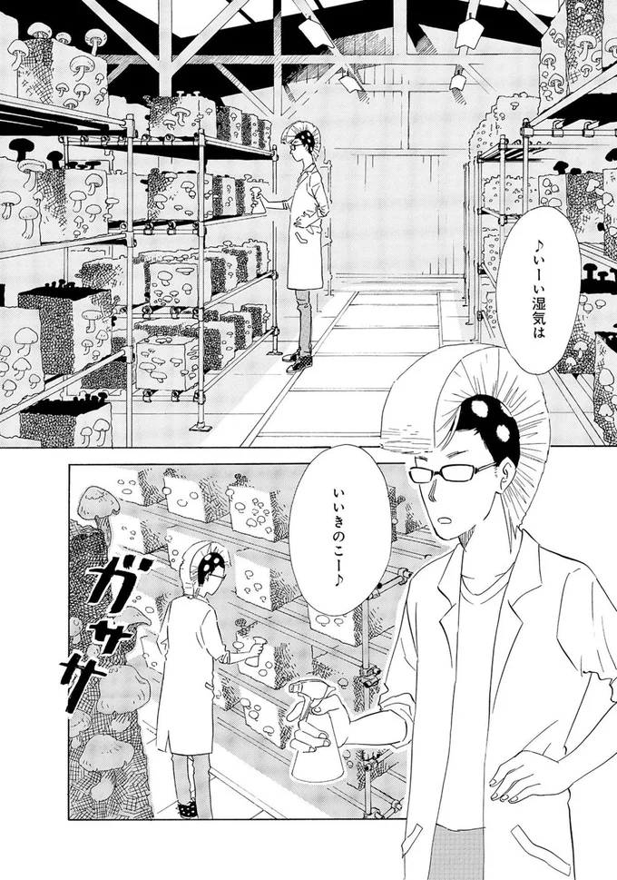 いーい湿気はいいきのこー♪