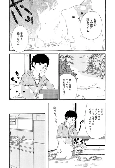 お前がこの庭に現れてから半年も経ったのか