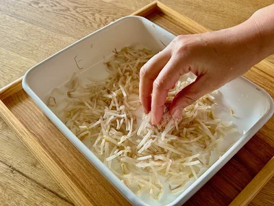 タネの全面にもやしをつける