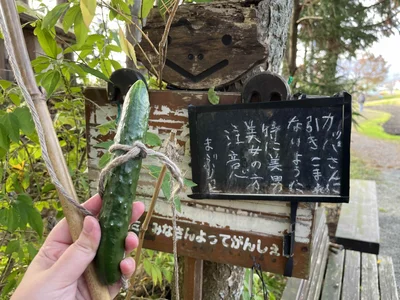「カッパに引き込まれないように。特に美男美女の方注意」の看板が…！