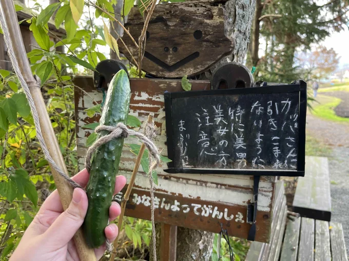 「カッパに引き込まれないように。特に美男美女の方注意」の看板が…！