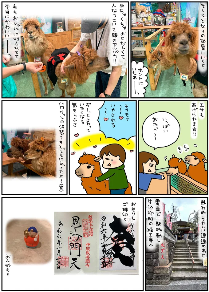 ホントにいたぁーっ