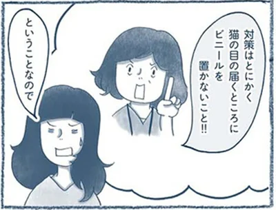猫の目の届くところにビニールを置かないこと！！