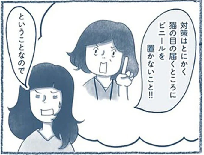 猫の目の届くところにビニールを置かないこと!!