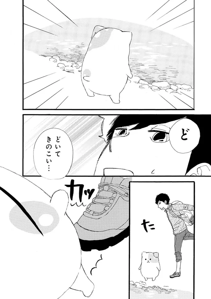 ど、どいてきのこい...