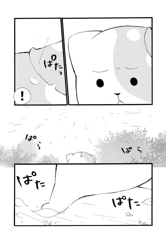 ぱらぱら