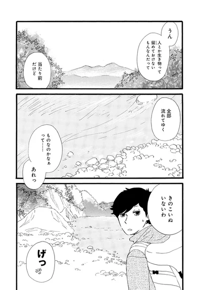 きのこいぬ、いないわ