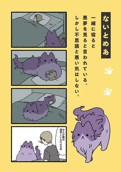 ないとめあ