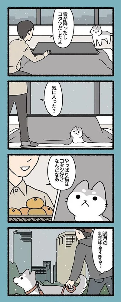 『ねこもんすたー』より