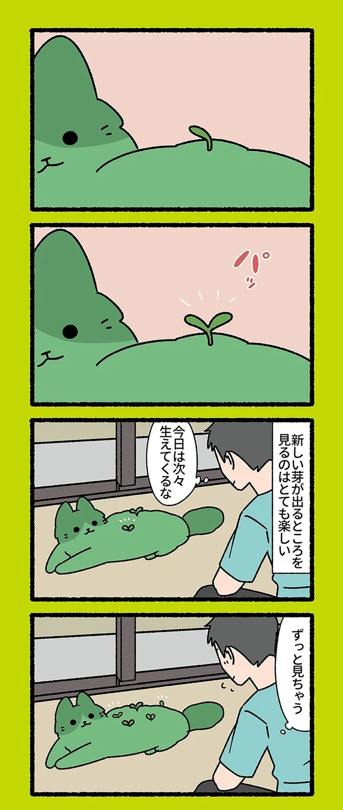 『ねこもんすたー』より