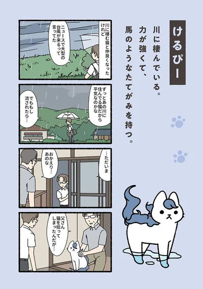 『ねこもんすたー』より