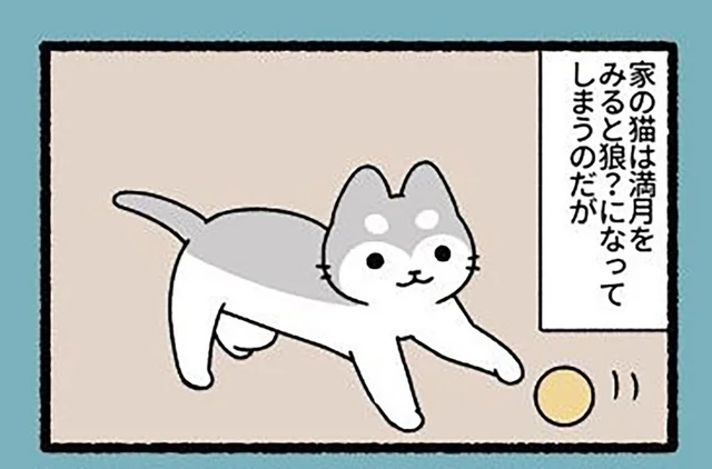 基準がゆるすぎ！ 「満月」を見るとすぐ狼に変身しちゃう「ねこもんすたー」の日常