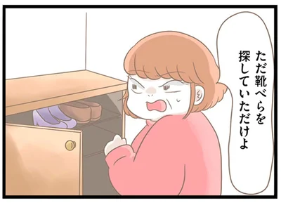 靴べらを探していただけよ