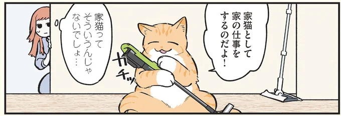 家猫として
