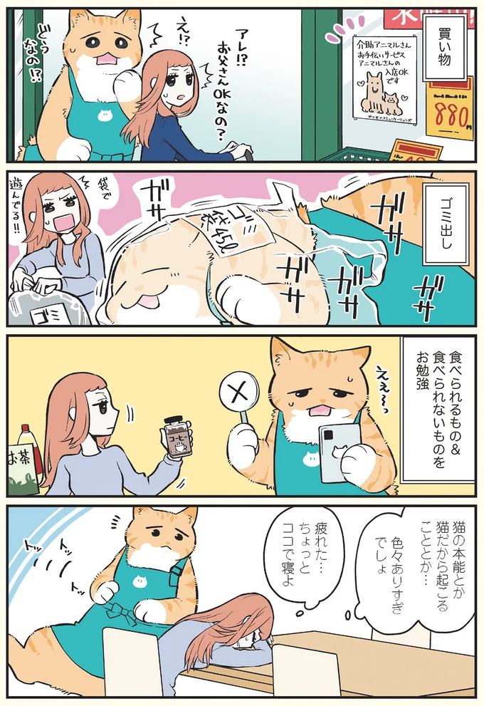 色々ありすぎでしょ