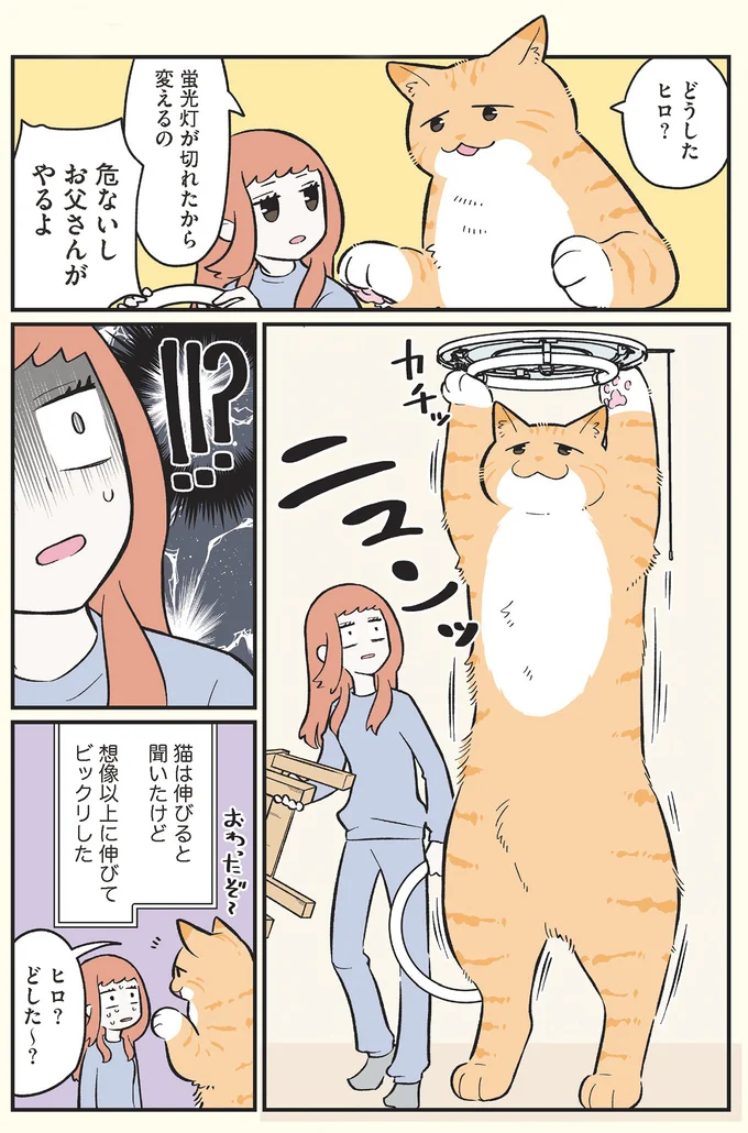 危ないしお父さんがやるよ